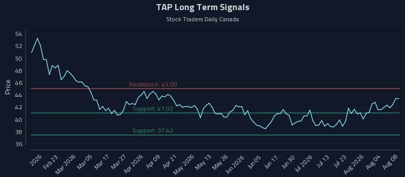 TAP Long Term Analysis for August 8 2026