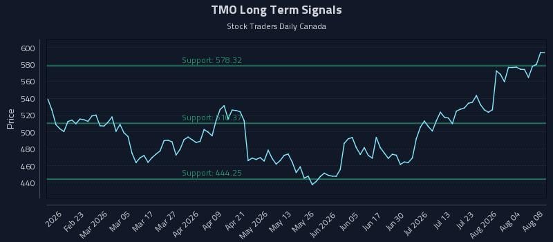 TMO Long Term Analysis for August 8 2026