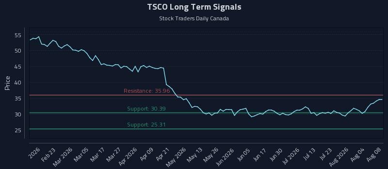 TSCO Long Term Analysis for August 8 2026 TSCO Long Term Analysis for August 8 2026