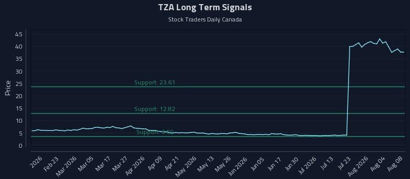TZA Long Term Analysis for August 8 2026