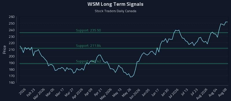 WSM Long Term Analysis for August 8 2026 WSM Long Term Analysis for August 8 2026