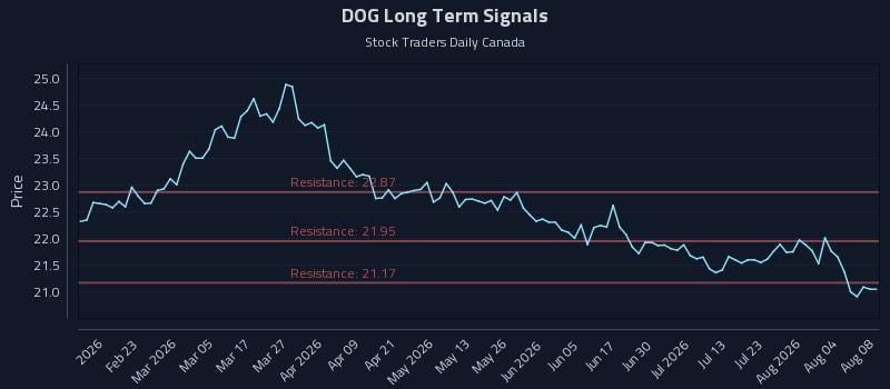 DOG Long Term Analysis for August 8 2026 DOG Long Term Analysis for August 8 2026