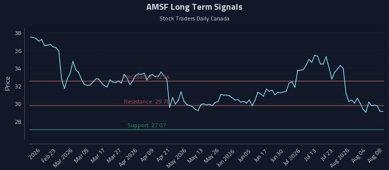 AMSF Long Term Analysis for August 8 2026 AMSF Long Term Analysis for August 8 2026