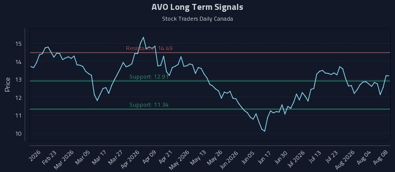 AVO Long Term Analysis for August 9 2026 AVO Long Term Analysis for August 9 2026
