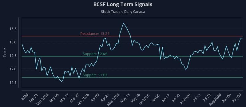 BCSF Long Term Analysis for August 9 2026 BCSF Long Term Analysis for August 9 2026