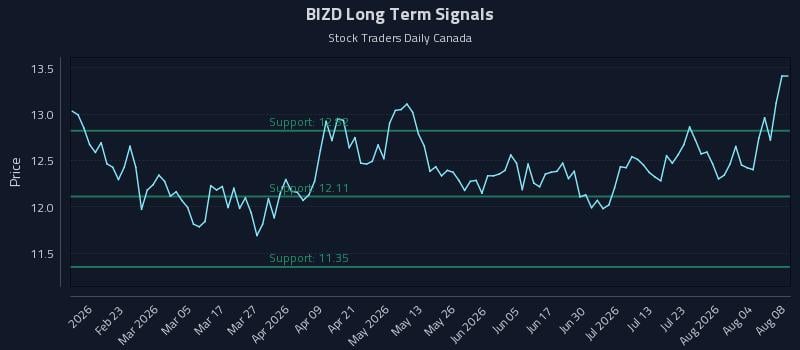 BIZD Long Term Analysis for August 9 2026