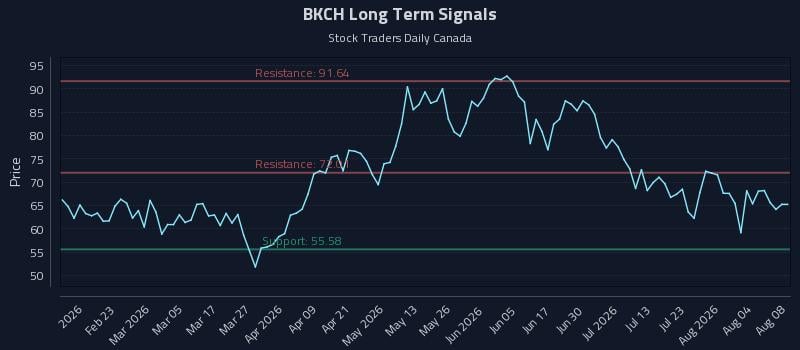 BKCH Long Term Analysis for August 9 2026