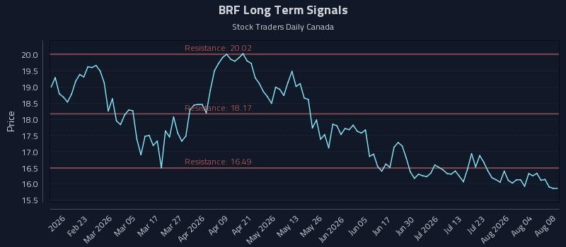 BRF Long Term Analysis for August 9 2026 BRF Long Term Analysis for August 9 2026