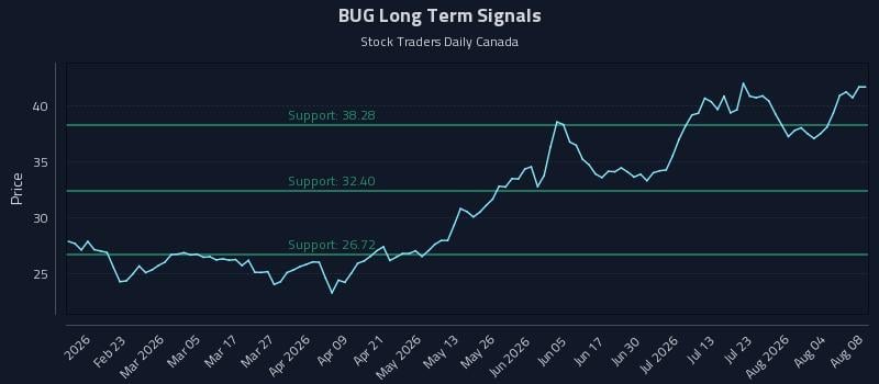 BUG Long Term Analysis for August 9 2026