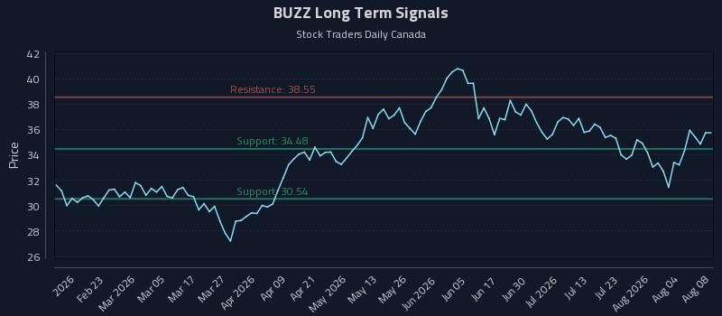 BUZZ Long Term Analysis for August 9 2026 BUZZ Long Term Analysis for August 9 2026