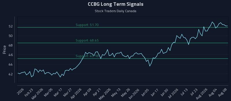 CCBG Long Term Analysis for August 9 2026