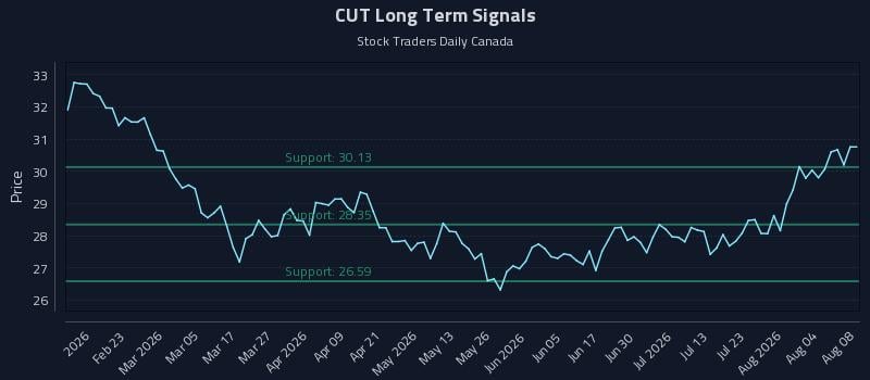 CUT Long Term Analysis for August 9 2026