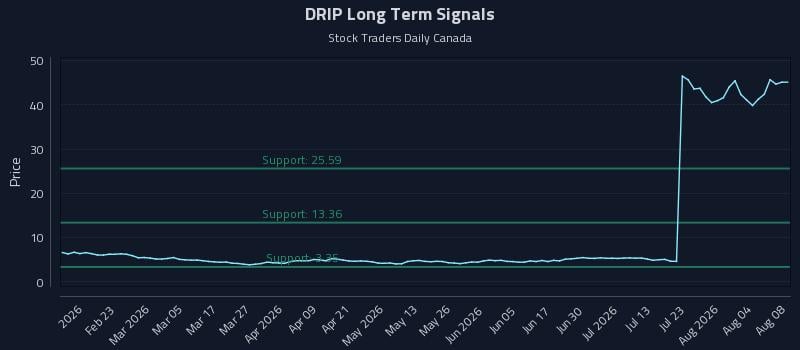 DRIP Long Term Analysis for August 9 2026