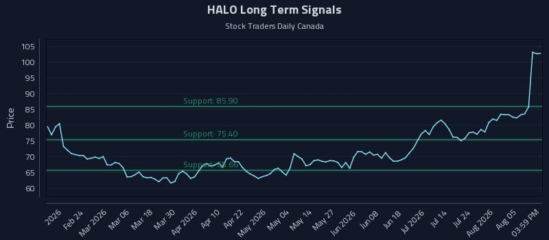 HALO Long Term Analysis for August 10 2026