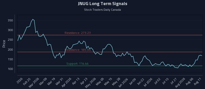 JNUG Long Term Analysis for August 11 2026 JNUG Long Term Analysis for August 11 2026