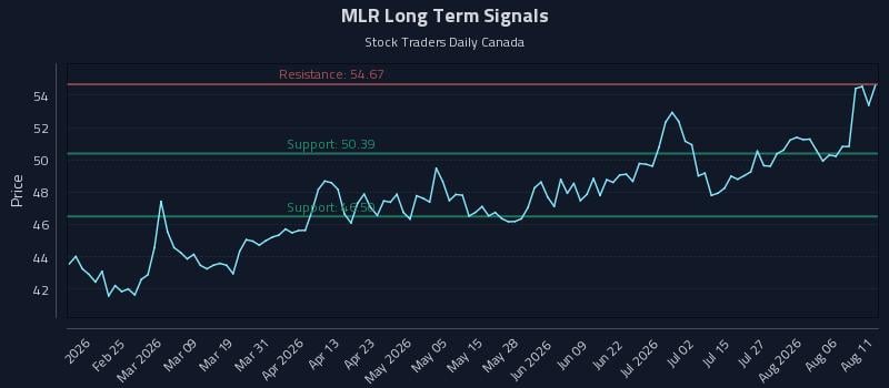 MLR Long Term Analysis for August 11 2026 MLR Long Term Analysis for August 11 2026