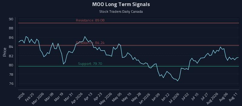 MOO Long Term Analysis for August 11 2026 MOO Long Term Analysis for August 11 2026
