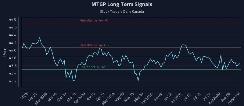 MTGP Long Term Analysis for August 11 2026 MTGP Long Term Analysis for August 11 2026