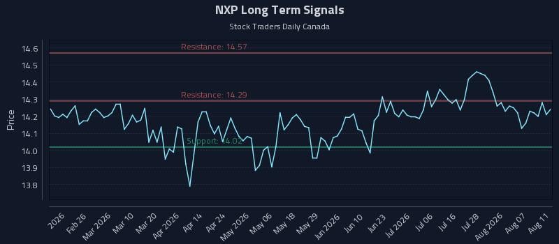 NXP Long Term Analysis for August 12 2026 NXP Long Term Analysis for August 12 2026