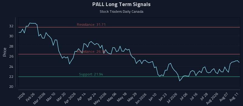 PALL Long Term Analysis for August 12 2026 PALL Long Term Analysis for August 12 2026