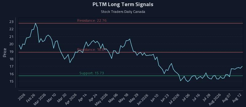 PLTM Long Term Analysis for August 12 2026