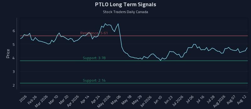 PTLO Long Term Analysis for August 12 2026 PTLO Long Term Analysis for August 12 2026