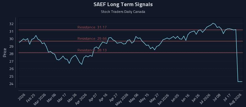SAEF Long Term Analysis for August 12 2026