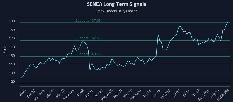 SENEA Long Term Analysis for August 13 2026 SENEA Long Term Analysis for August 13 2026