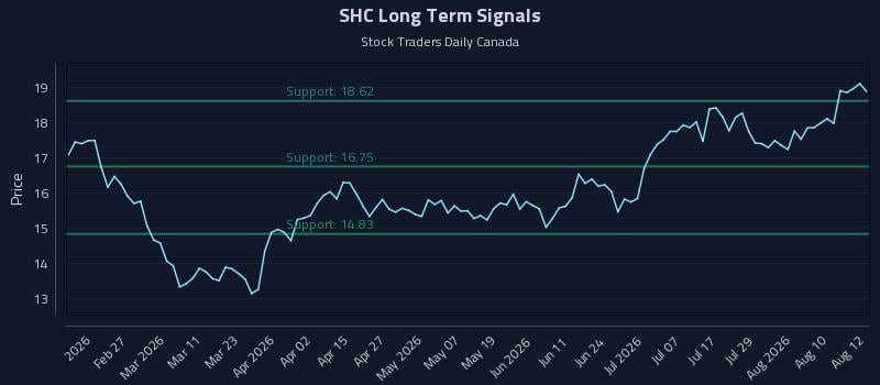 SHC Long Term Analysis for August 13 2026 SHC Long Term Analysis for August 13 2026