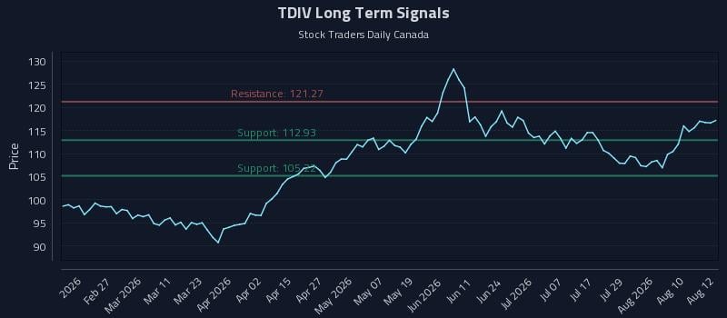 TDIV Long Term Analysis for August 13 2026 TDIV Long Term Analysis for August 13 2026