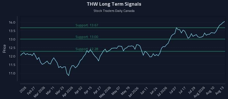 THW Long Term Analysis for August 13 2026 THW Long Term Analysis for August 13 2026