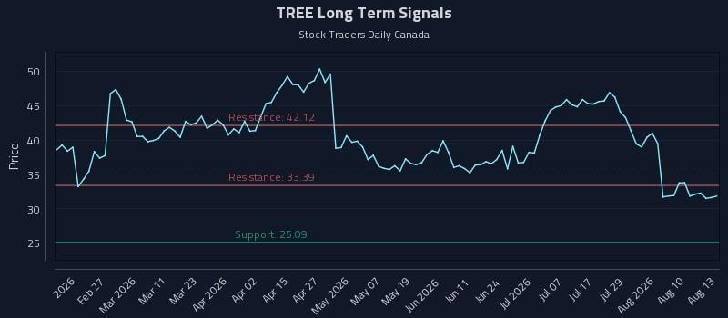 TREE Long Term Analysis for August 13 2026 TREE Long Term Analysis for August 13 2026
