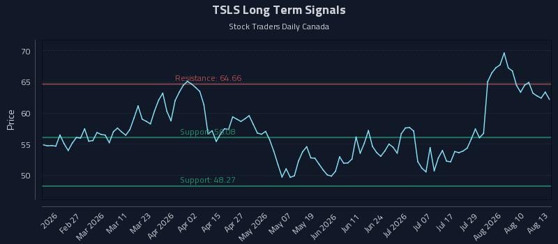 TSLS Long Term Analysis for August 13 2026