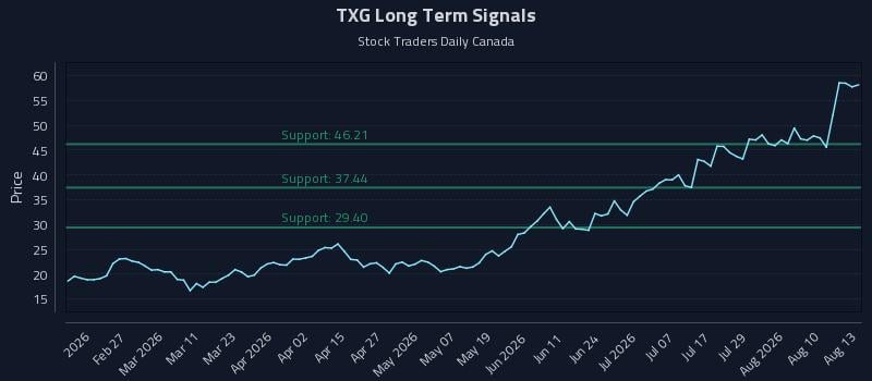 TXG Long Term Analysis for August 13 2026 TXG Long Term Analysis for August 13 2026