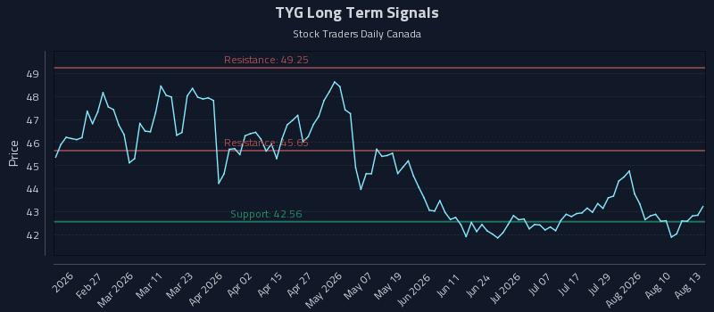 TYG Long Term Analysis for August 13 2026