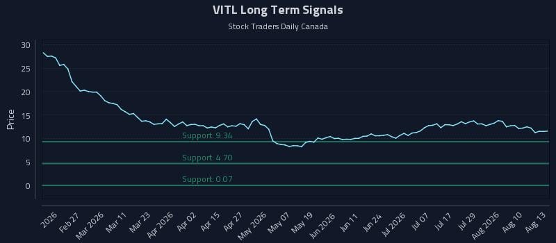 VITL Long Term Analysis for August 13 2026 VITL Long Term Analysis for August 13 2026