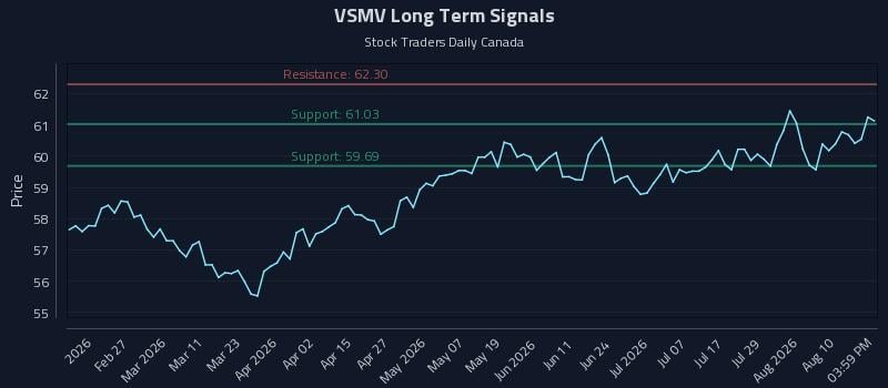 VSMV