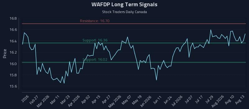 WAFDP Long Term Analysis for August 13 2026