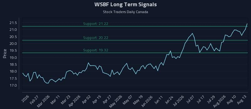 WSBF Long Term Analysis for August 13 2026 WSBF Long Term Analysis for August 13 2026