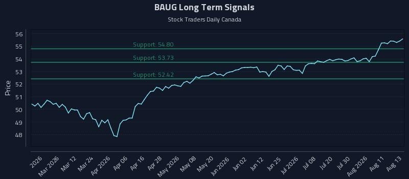 BAUG Long Term Analysis for August 14 2026 BAUG Long Term Analysis for August 14 2026