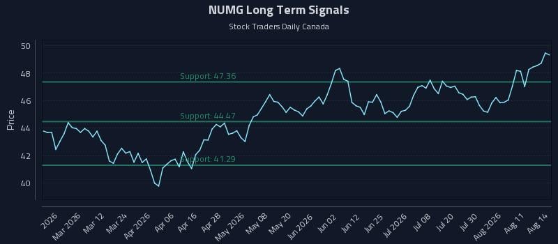 NUMG Long Term Analysis for August 14 2026 NUMG Long Term Analysis for August 14 2026