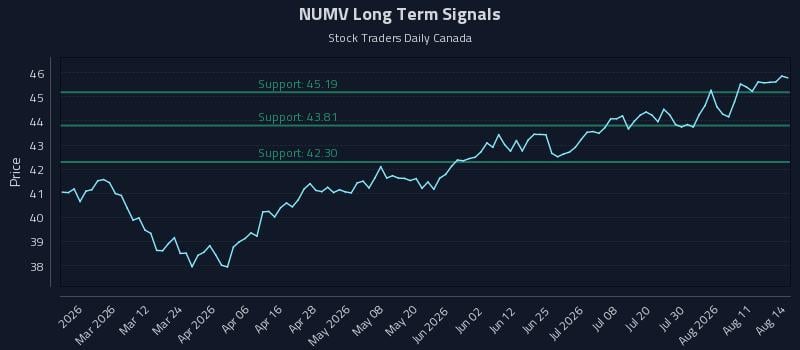 NUMV Long Term Analysis for August 14 2026 NUMV Long Term Analysis for August 14 2026