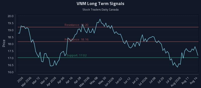 VNM Long Term Analysis for August 14 2026 VNM Long Term Analysis for August 14 2026