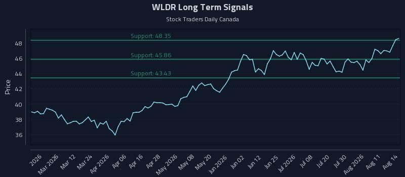WLDR Long Term Analysis for August 14 2026