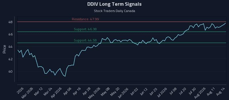 DDIV Long Term Analysis for August 14 2026 DDIV Long Term Analysis for August 14 2026
