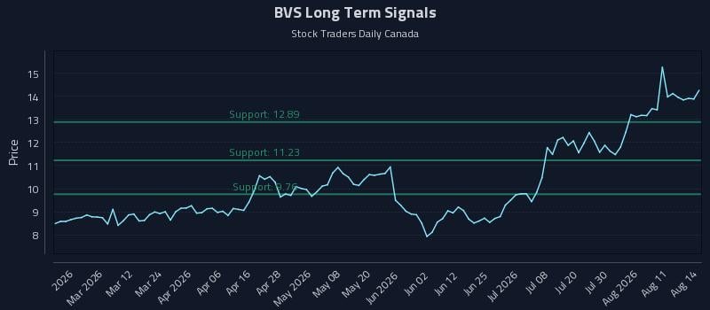 BVS Long Term Analysis for August 15 2026 BVS Long Term Analysis for August 15 2026