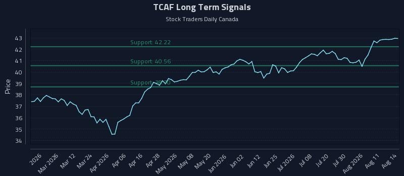 TCAF Long Term Analysis for August 15 2026 TCAF Long Term Analysis for August 15 2026