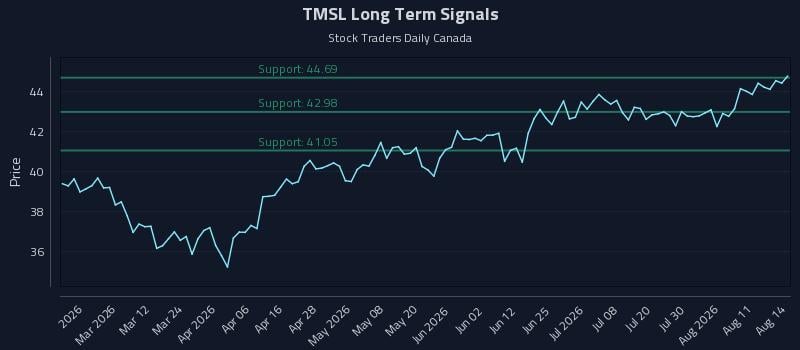 TMSL Long Term Analysis for August 15 2026