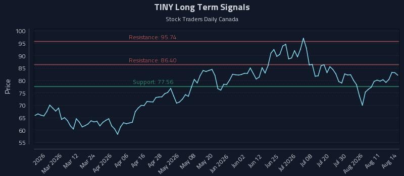 TINY Long Term Analysis for August 15 2026