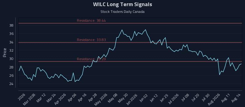 WILC Long Term Analysis for August 15 2026 WILC Long Term Analysis for August 15 2026